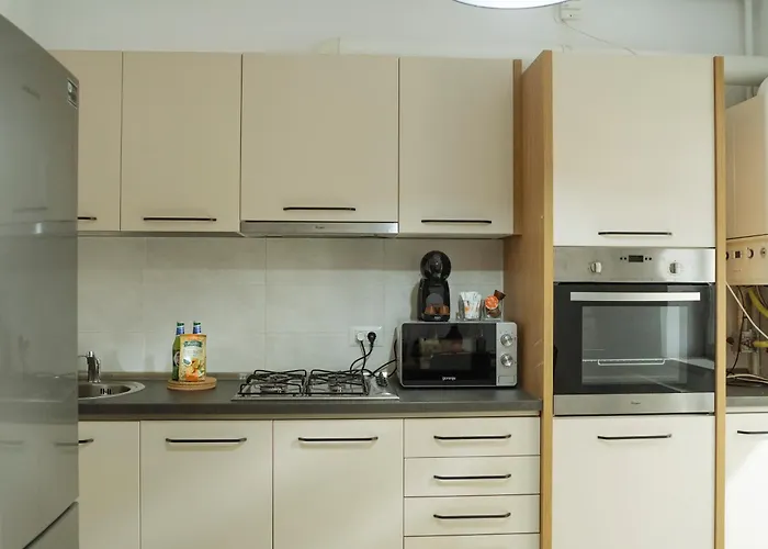 Nexus Noir Carol Apartament Bukareszt